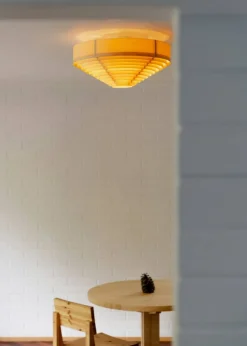 1005 Hans Plafond 55 cm