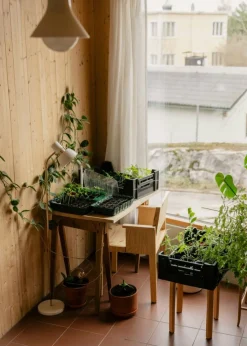 016 Maasto Matsalsstol, Natur