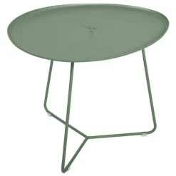 Cocotte Bord, Cactus