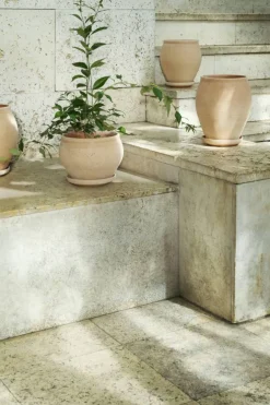 Delphi Kruka Standard 20 cm, Rosa