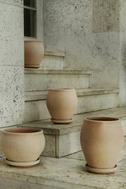 Delphi Kruka Tall 22 cm, Rosa