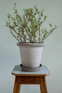 Emilia Kruka Grå, 21 cm