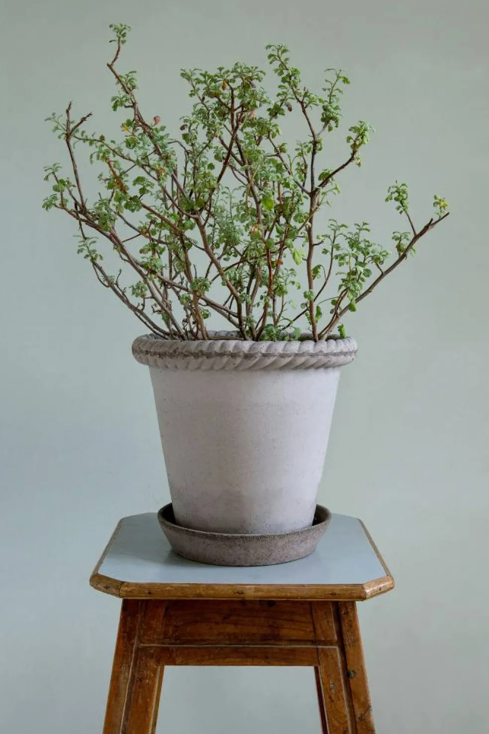 Emilia Kruka Grå, 25 cm