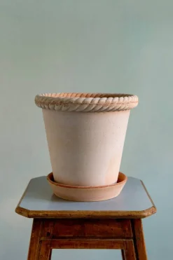 Emilia Kruka Rose, 25 cm