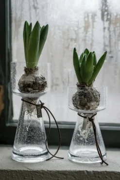 Vas Med Bubblor Klar, 20 cm